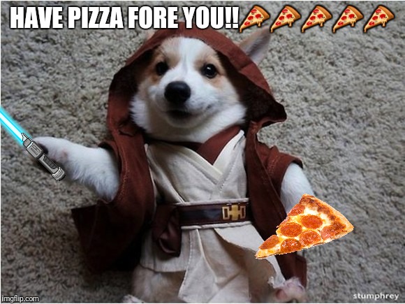Star wars corgi | HAVE PIZZA FORE YOU!!🍕🍕🍕🍕🍕 | image tagged in star wars corgi | made w/ Imgflip meme maker