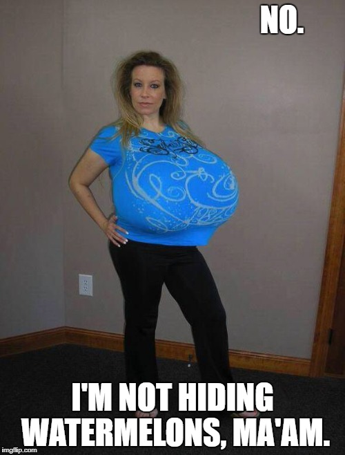 NO. I'M NOT HIDING WATERMELONS, MA'AM. | image tagged in chelsea charms | made w/ Imgflip meme maker