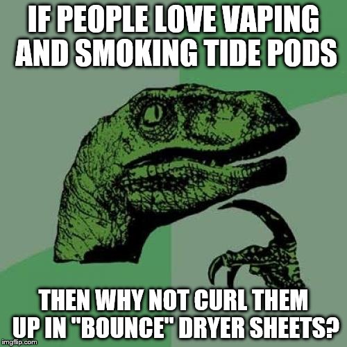 Philosoraptor | IF PEOPLE LOVE VAPING AND SMOKING TIDE PODS; THEN WHY NOT CURL THEM UP IN "BOUNCE" DRYER SHEETS? | image tagged in memes,philosoraptor | made w/ Imgflip meme maker