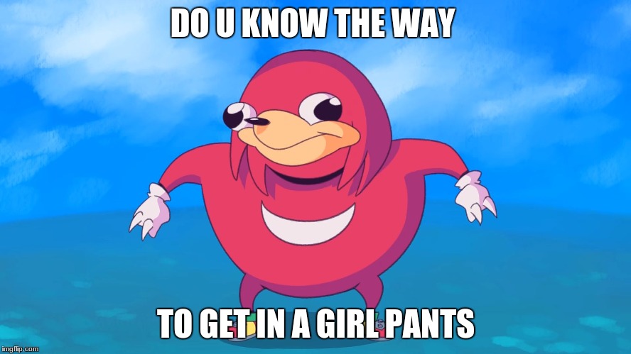 Uganda Knuckles | DO U KNOW THE WAY; TO GET IN A GIRL PANTS | image tagged in uganda knuckles | made w/ Imgflip meme maker