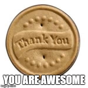 YOU ARE AWESOME | made w/ Imgflip meme maker