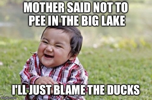 Evil Toddler | MOTHER SAID NOT TO PEE IN THE BIG LAKE; I'LL JUST BLAME THE DUCKS | image tagged in memes,evil toddler | made w/ Imgflip meme maker
