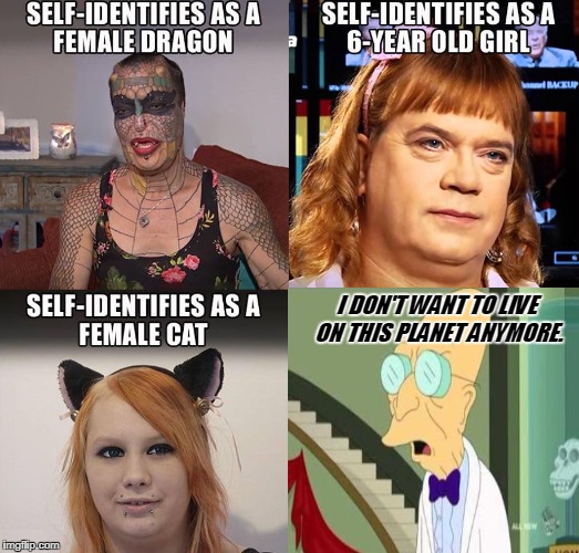 I don't want to live on this planet anymore... | I DON'T WANT TO LIVE ON THIS PLANET ANYMORE. SELF-IDENTIFIES AS A CAT; SELF-IDENTIFIES AS A FEMALE DRAGON; SELF-IDENTIFIES AS A 6-YEAR OLD GIRL | image tagged in i don't want to live on this planet anymore,self-identify,memes | made w/ Imgflip meme maker