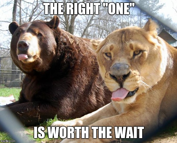 unlikely friends | THE RIGHT "ONE" IS WORTH THE WAIT | image tagged in unlikely friends | made w/ Imgflip meme maker