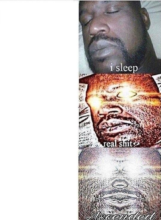 High Quality i sleep, REAL SHIT ,ASCENDED Blank Meme Template