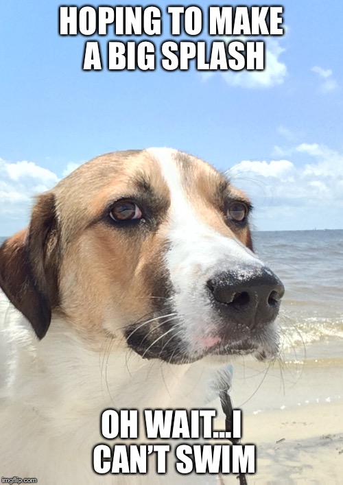 Sad Realization Buddy - The Original | HOPING TO MAKE A BIG SPLASH; OH WAIT...I CAN’T SWIM | image tagged in memes | made w/ Imgflip meme maker