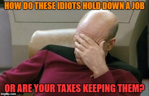 Captain Picard Facepalm Meme | HOW DO THESE IDIOTS HOLD DOWN A JOB OR ARE YOUR TAXES KEEPING THEM? | image tagged in memes,captain picard facepalm | made w/ Imgflip meme maker