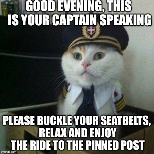 captain cat | GOOD EVENING, THIS IS YOUR CAPTAIN SPEAKING; PLEASE BUCKLE YOUR SEATBELTS, RELAX AND ENJOY THE RIDE TO THE PINNED POST | image tagged in captain cat | made w/ Imgflip meme maker