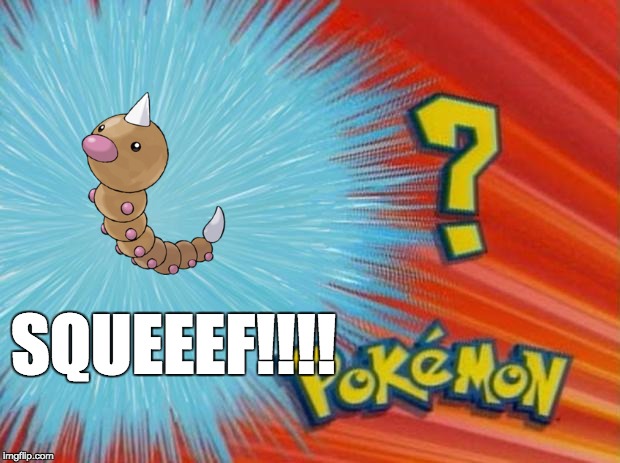 who is that pokemon | SQUEEEF!!!! | image tagged in who is that pokemon | made w/ Imgflip meme maker