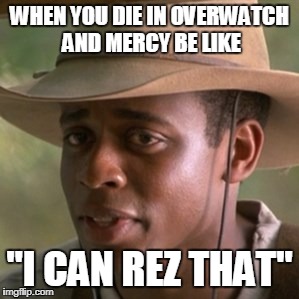 WHEN YOU DIE IN OVERWATCH AND MERCY BE LIKE; "I CAN REZ THAT" | image tagged in overwatch,mercy,overwatch memes,memes,holes | made w/ Imgflip meme maker