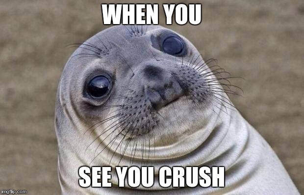 Awkward Moment Sealion Meme | WHEN YOU; SEE YOU CRUSH | image tagged in memes,awkward moment sealion | made w/ Imgflip meme maker