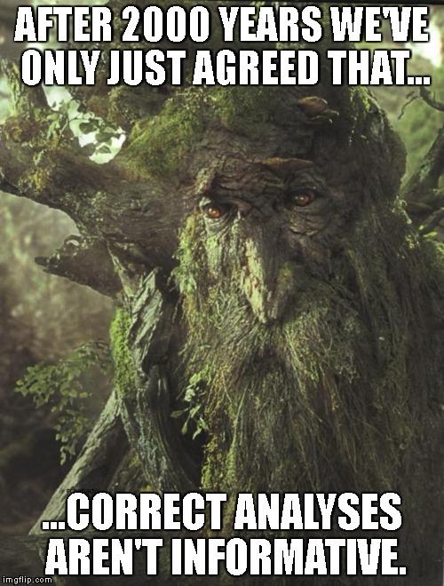 Tree Beard | AFTER 2000 YEARS WE'VE ONLY JUST AGREED THAT... ...CORRECT ANALYSES AREN'T INFORMATIVE. | image tagged in tree beard | made w/ Imgflip meme maker