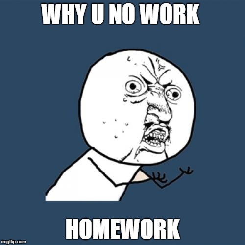 Y U No | WHY U NO WORK; HOMEWORK | image tagged in memes,y u no | made w/ Imgflip meme maker