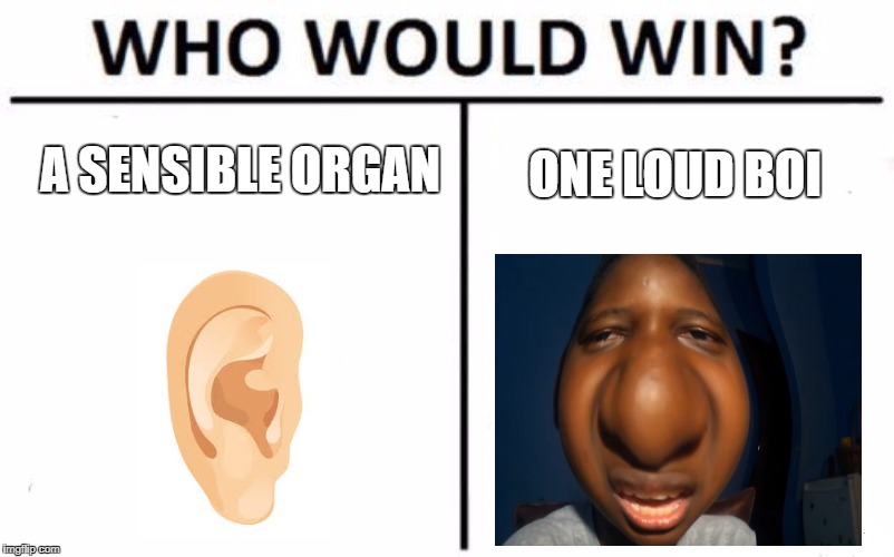 Who Would Win? Meme | A SENSIBLE ORGAN; ONE LOUD BOI | image tagged in memes,who would win | made w/ Imgflip meme maker