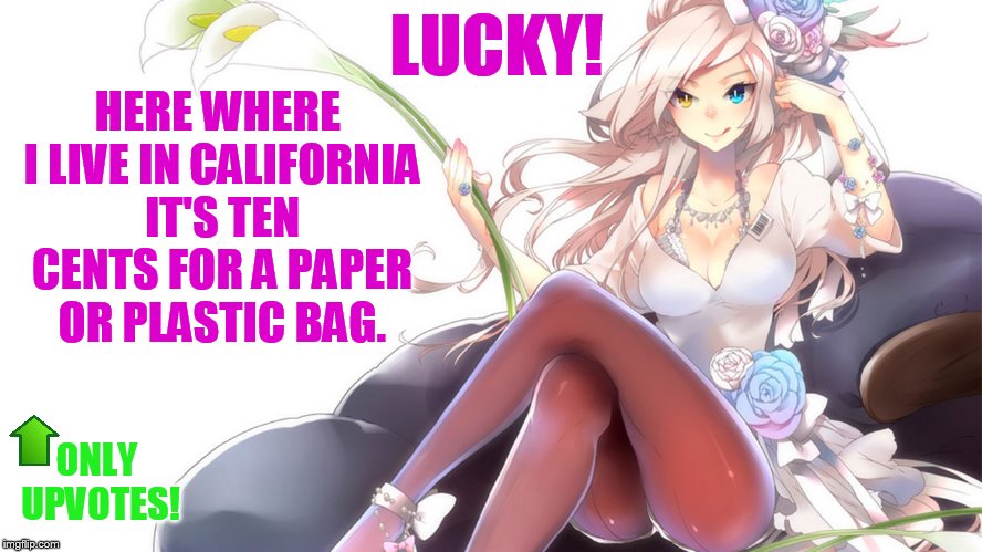 LUCKY! ONLY UPVOTES! HERE WHERE I LIVE IN CALIFORNIA IT'S TEN CENTS FOR A PAPER OR PLASTIC BAG. | made w/ Imgflip meme maker