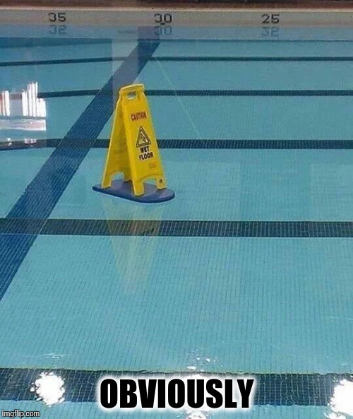 Deep thought | OBVIOUSLY | image tagged in pool,floor is wet,sign,pipe_picasso | made w/ Imgflip meme maker