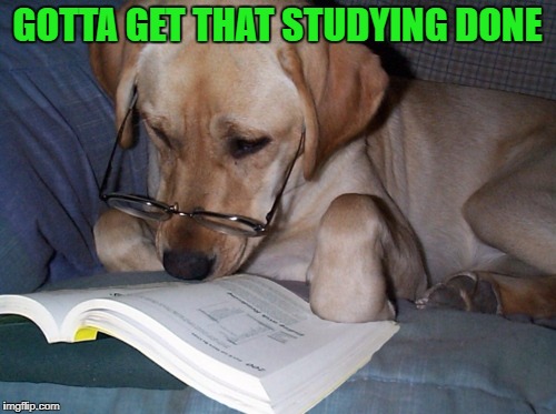 GOTTA GET THAT STUDYING DONE | made w/ Imgflip meme maker