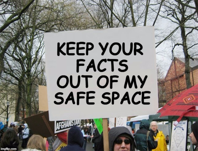 KEEP YOUR FACTS OUT OF MY SAFE SPACE | made w/ Imgflip meme maker