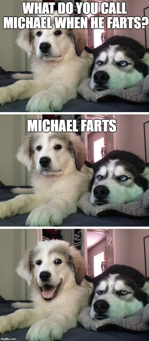 Dogs talking about Michael farts | WHAT DO YOU CALL MICHAEL WHEN HE FARTS? MICHAEL FARTS | image tagged in bad pun dogs,michael farts,michael,dogs | made w/ Imgflip meme maker