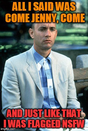 Forest Gump | ALL I SAID WAS COME JENNY, COME; AND JUST LIKE THAT I WAS FLAGGED NSFW | image tagged in forest gump | made w/ Imgflip meme maker