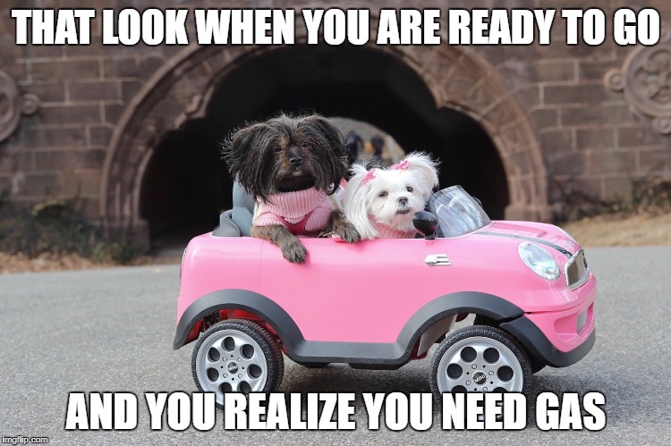ready to go | THAT LOOK WHEN YOU ARE READY TO GO; AND YOU REALIZE YOU NEED GAS | image tagged in ready to go | made w/ Imgflip meme maker