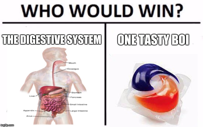 Who Would Win? | THE DIGESTIVE SYSTEM; ONE TASTY BOI | image tagged in memes,who would win | made w/ Imgflip meme maker