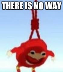 Do you noe dah wae 0_0 | THERE IS NO WAY | image tagged in ugandan knuckles,do you know the way | made w/ Imgflip meme maker