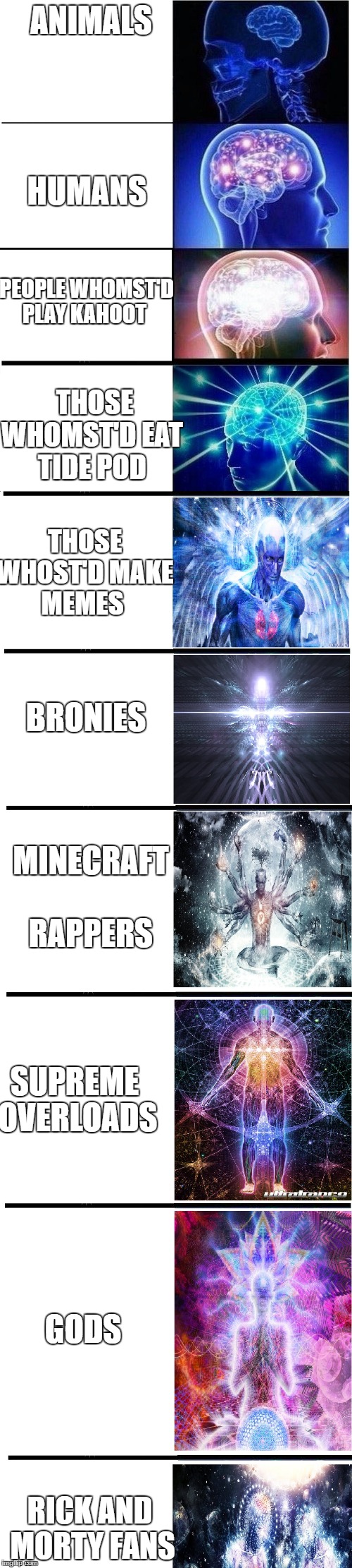 expanding brain meme | ANIMALS; HUMANS; PEOPLE WHOMST'D PLAY KAHOOT; THOSE WHOMST'D EAT TIDE POD; THOSE WHOST'D MAKE MEMES; BRONIES; MINECRAFT RAPPERS; SUPREME OVERLOADS; GODS; RICK AND MORTY FANS | image tagged in expanding brain meme | made w/ Imgflip meme maker