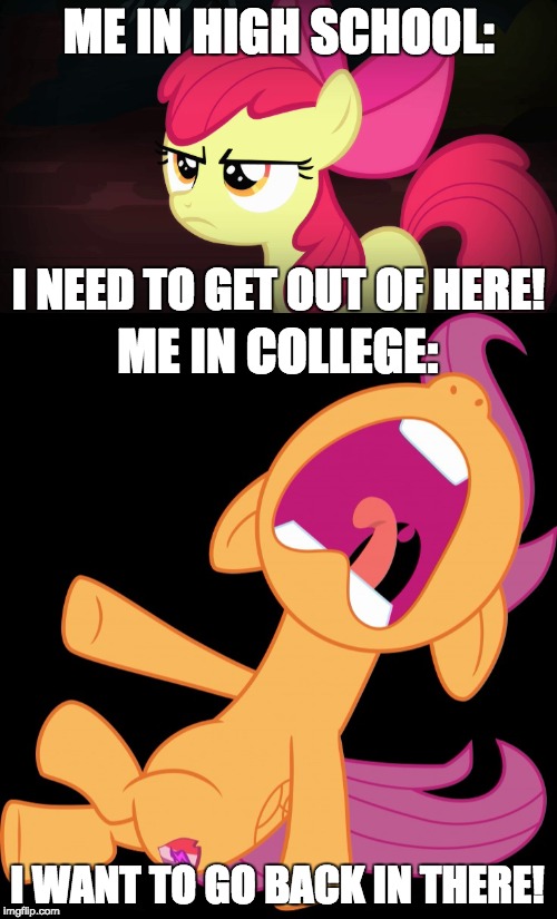 I actually miss my high school days (now)! | ME IN HIGH SCHOOL:; I NEED TO GET OUT OF HERE! ME IN COLLEGE:; I WANT TO GO BACK IN THERE! | image tagged in memes,angry applebloom,frightened scootaloo,high school,xanderbrony | made w/ Imgflip meme maker