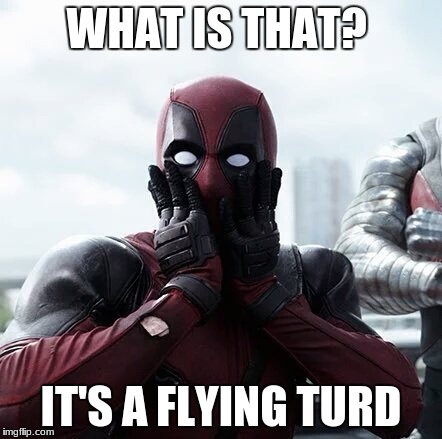 Deadpool Surprised Meme | WHAT IS THAT? IT'S A FLYING TURD | image tagged in memes,deadpool surprised | made w/ Imgflip meme maker