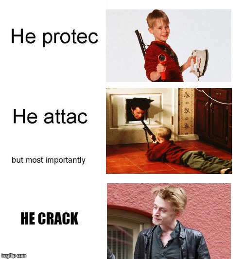 he protec | HE CRACK | image tagged in he protec | made w/ Imgflip meme maker