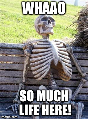 Waiting Skeleton Meme | WHAAO SO MUCH LIFE HERE! | image tagged in memes,waiting skeleton | made w/ Imgflip meme maker