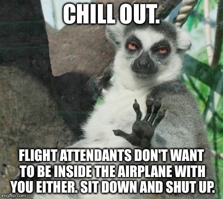 Sit down and shut up | CHILL OUT. FLIGHT ATTENDANTS DON'T WANT TO BE INSIDE THE AIRPLANE WITH YOU EITHER. SIT DOWN AND SHUT UP. | image tagged in memes,stoner lemur,flight attendant,american airlines,spoiled brat,airplane | made w/ Imgflip meme maker