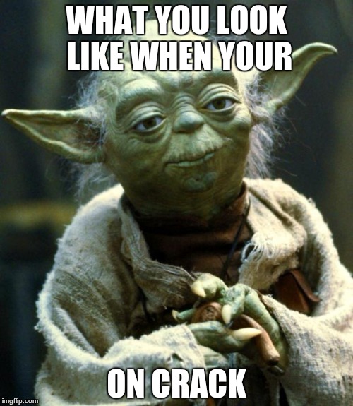 Star Wars Yoda Meme | WHAT YOU LOOK LIKE WHEN YOUR; ON CRACK | image tagged in memes,star wars yoda | made w/ Imgflip meme maker