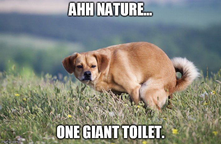 AHH NATURE... ONE GIANT TOILET. | image tagged in nature | made w/ Imgflip meme maker
