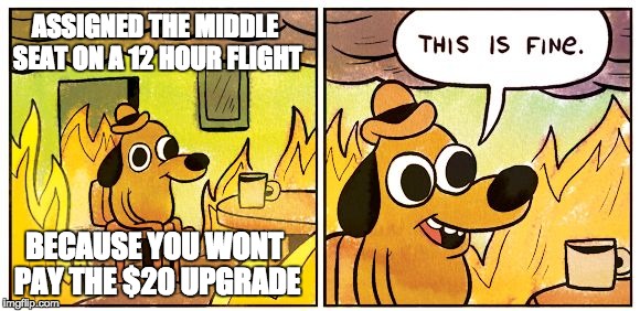 This Is Fine | ASSIGNED THE MIDDLE SEAT ON A 12 HOUR FLIGHT; BECAUSE YOU WONT PAY THE $20 UPGRADE | image tagged in this is fine dog | made w/ Imgflip meme maker