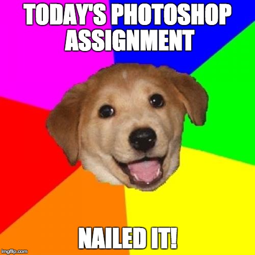 Advice Dog | TODAY'S PHOTOSHOP ASSIGNMENT; NAILED IT! | image tagged in memes,advice dog | made w/ Imgflip meme maker