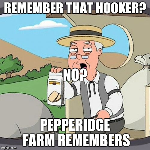 Pepperidge Farm Remembers Meme | REMEMBER THAT HOOKER? NO? PEPPERIDGE FARM REMEMBERS | image tagged in memes,pepperidge farm remembers | made w/ Imgflip meme maker