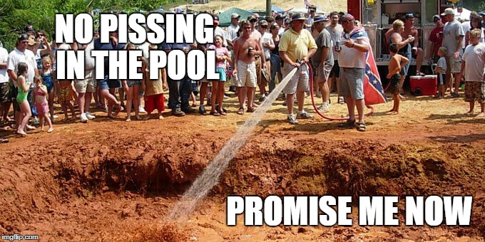 NO PISSING IN THE POOL; PROMISE ME NOW | image tagged in redneck swimming gala | made w/ Imgflip meme maker