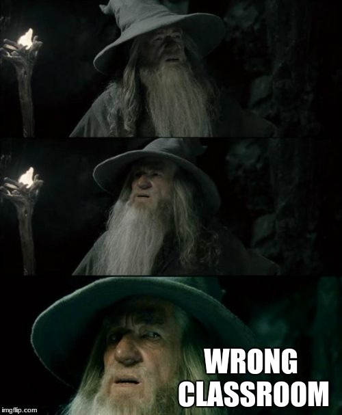 Confused Gandalf Meme | WRONG CLASSROOM | image tagged in memes,confused gandalf | made w/ Imgflip meme maker