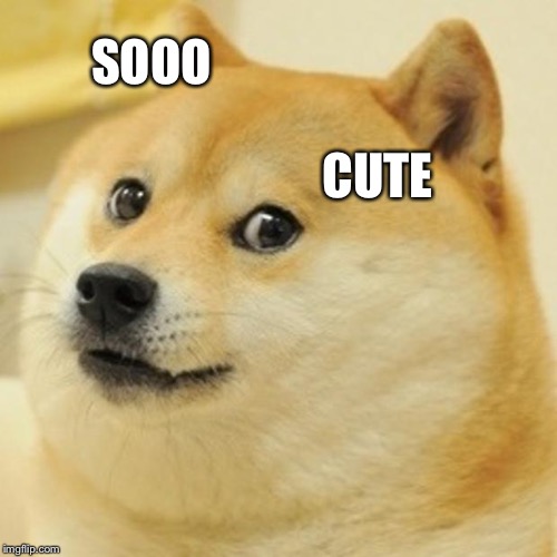 Doge Meme | SOOO; CUTE | image tagged in memes,doge | made w/ Imgflip meme maker