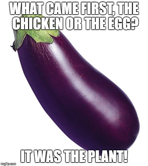 motivational eggplant | WHAT CAME FIRST, THE CHICKEN OR THE EGG? IT WAS THE PLANT! | image tagged in motivational eggplant | made w/ Imgflip meme maker