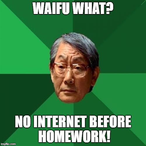 No waifu connection | WAIFU WHAT? NO INTERNET BEFORE HOMEWORK! | image tagged in memes,high expectations asian father | made w/ Imgflip meme maker