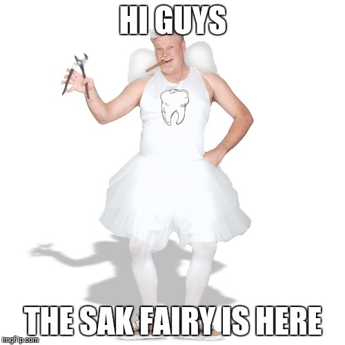 HI GUYS; THE SAK FAIRY IS HERE | made w/ Imgflip meme maker