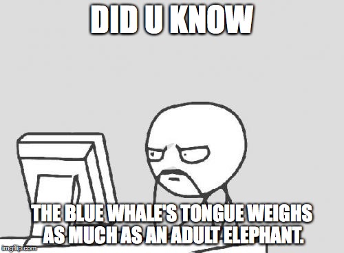 Computer Guy Meme | DID U KNOW; THE BLUE WHALE'S TONGUE WEIGHS AS MUCH AS AN ADULT ELEPHANT. | image tagged in memes,computer guy,tongue,whale,adult,did you know | made w/ Imgflip meme maker