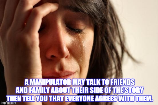 First World Problems Meme | A MANIPULATOR MAY TALK TO FRIENDS AND FAMILY ABOUT THEIR SIDE OF THE STORY THEN TELL YOU THAT EVERYONE AGREES WITH THEM. | image tagged in memes,first world problems | made w/ Imgflip meme maker