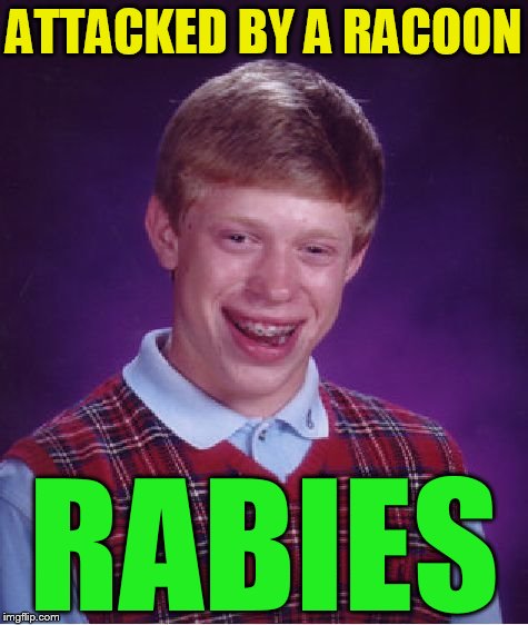 Bad Luck Brian Meme | ATTACKED BY A RACOON RABIES | image tagged in memes,bad luck brian | made w/ Imgflip meme maker