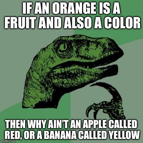 Philosoraptor Meme | IF AN ORANGE IS A FRUIT AND ALSO A COLOR; THEN WHY AIN’T AN APPLE CALLED RED, OR A BANANA CALLED YELLOW | image tagged in memes,philosoraptor | made w/ Imgflip meme maker