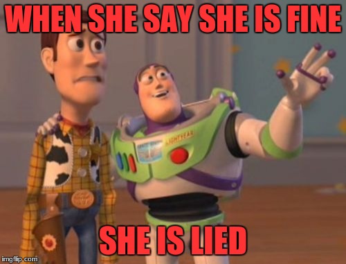 X, X Everywhere | WHEN SHE SAY SHE IS FINE; SHE IS LIED | image tagged in memes,x x everywhere | made w/ Imgflip meme maker