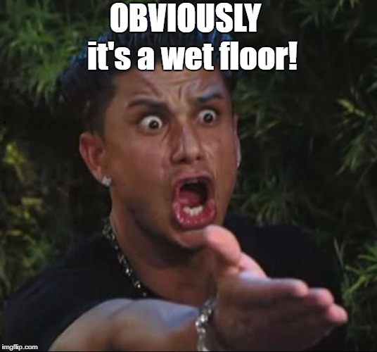 for crying out loud | OBVIOUSLY it's a wet floor! | image tagged in for crying out loud | made w/ Imgflip meme maker